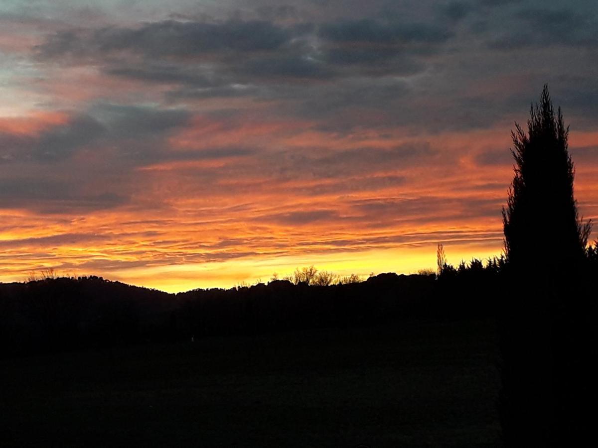 Le Mas De La Glycine Roussillon en Isere 外观 照片