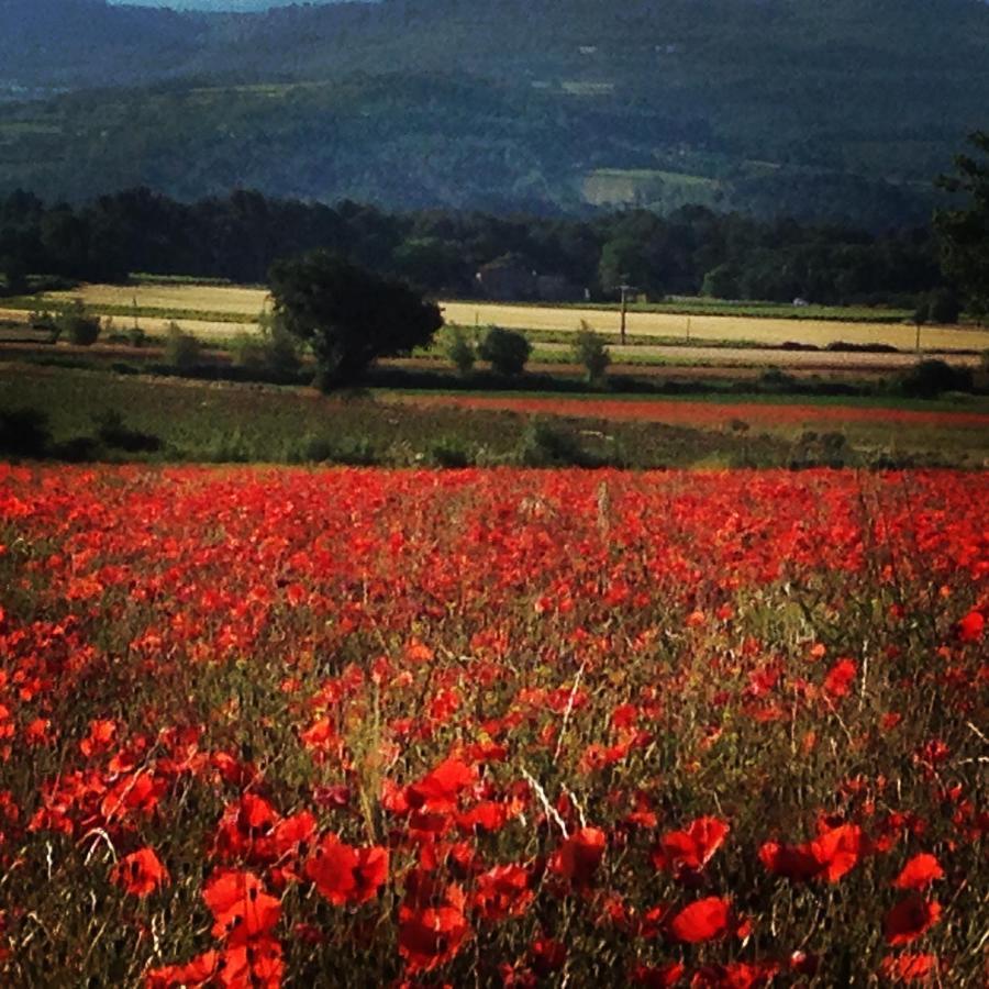 Le Mas De La Glycine Roussillon en Isere 外观 照片